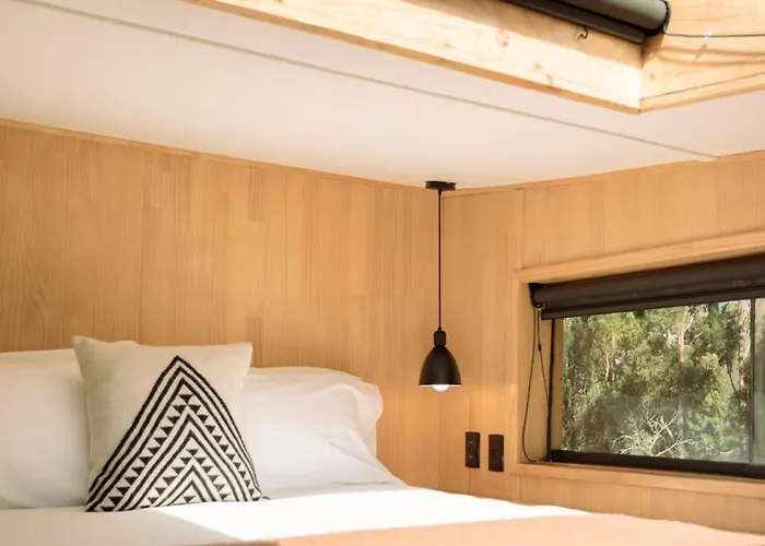 Earth Tones - Serenity In A Starry Slumber Lodge *